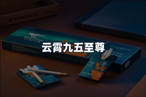 云霄九五至尊